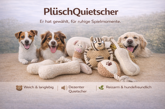 PlüschQuietscher-Hundespielzeug