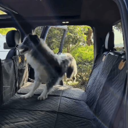RückbankGuard – Auto-Schutzmatte für Hunde